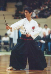 Sai demonstration