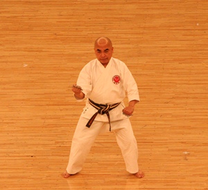 Tekko demonstration