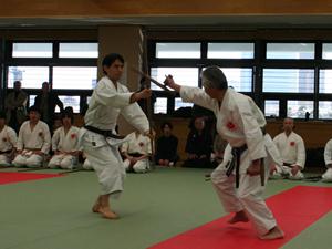 Tonfa demonstration