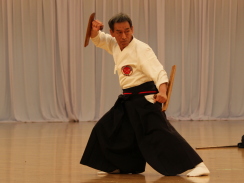 Tonfa kata