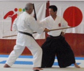 Tonfa Kumite