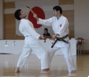 Asakusa Kobudo Demonstration 03