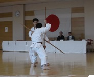 Asakusa Kobudo Demonstration 04