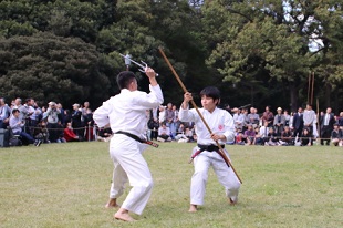 Demonstration at Meiji Shrine 04