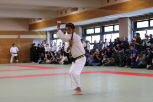 Asakusa Kobudo Demonstration 03