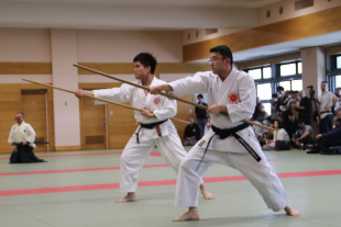 Asakusa Kobudo Demonstration 05