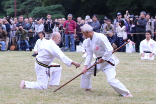 Meiji Shrine Kobudo Demonstration 05