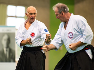Ryukyu kobujutsu Demonstration photo 07